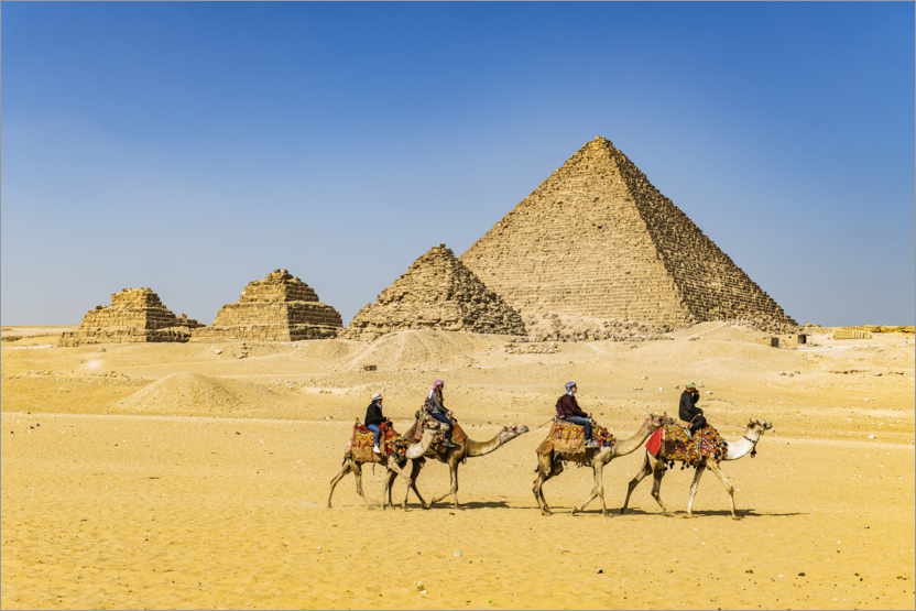 Póster Jinetes de camellos frente a las pirámides de Giza