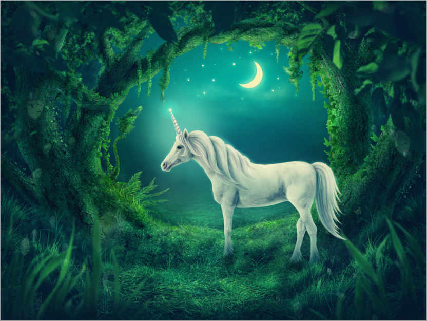 Póster Unicornio blanco en el bosque