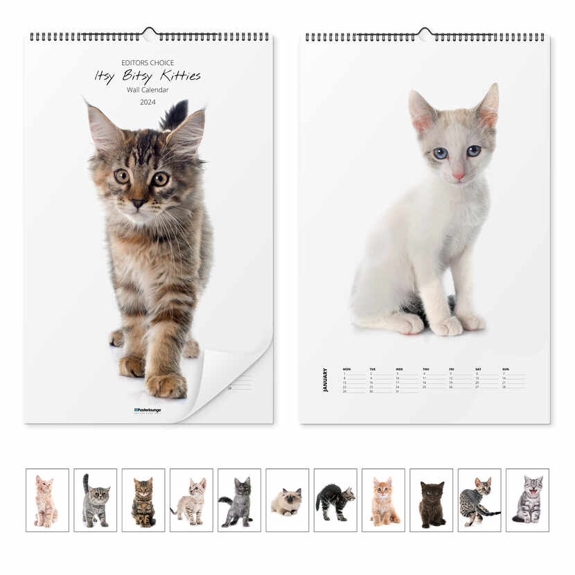 Documento Lustre Novela de suspenso Calendario de pared Calendario de gatos - Itsy Bitsy Kitties 2023 |  Posterlounge