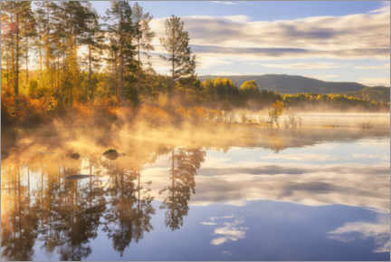 Cuadro de plexi-alu  Una hermosa mañana brumosa junto al lago - Rafal Kaniszewski