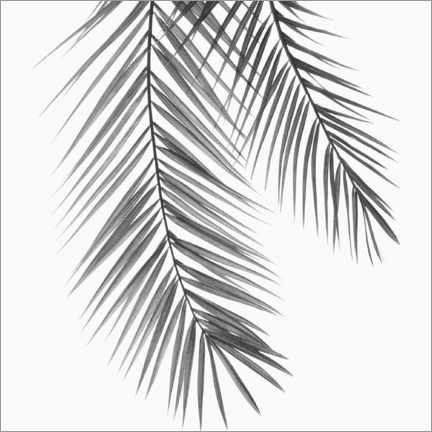 Lienzo  Hojas de palma en blanco y negro - Sisi And Seb
