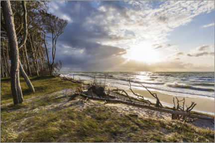 Póster  Costa del mar Báltico - Dieterich Fotografie