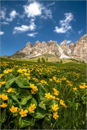 Póster Primavera en Tirol del Sur