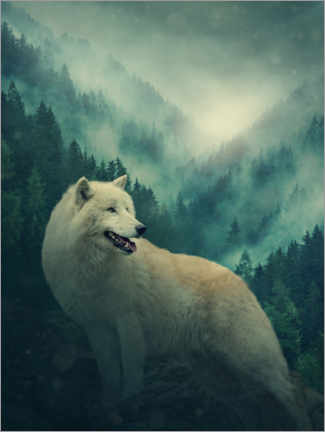 Póster Lobo blanco en el bosque
