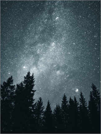 Póster  Cielo estrellado sobre las copas de los árboles - Lukas Saalfrank