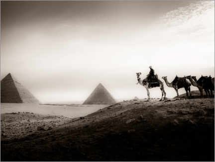 Lienzo  Avistando las pirámides - Ali Khataw
