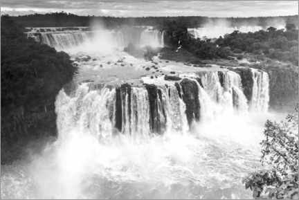 Póster  Cataratas del Iguazú - Matthias Graben