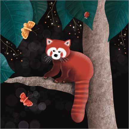 Póster Panda rojo en un árbol