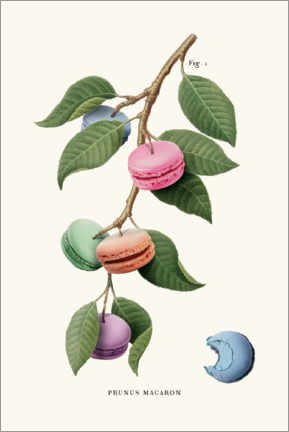 Cuadro de metacrilato  Macaron Plant - Jonas Loose