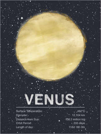 Póster Venus