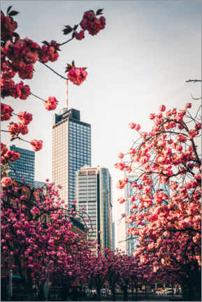 Cuadro de metacrilato  High-rise buildings with cherry blossoms, Frankfurt - Jan Wehnert