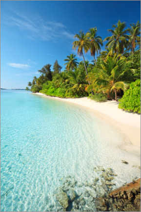 Lienzo  Paradise in the Maldives - Matteo Colombo