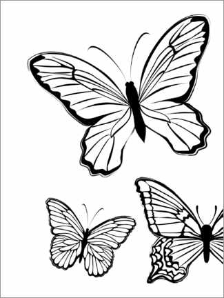 Póster Butterflies