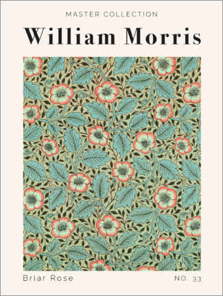 Cuadro de madera  Briar Rose No. 33 - William Morris