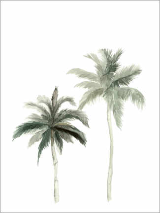 Póster Botanical Illustration Palmtrees