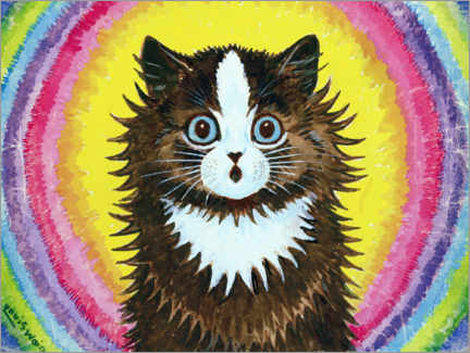 Póster Cat in a Rainbow