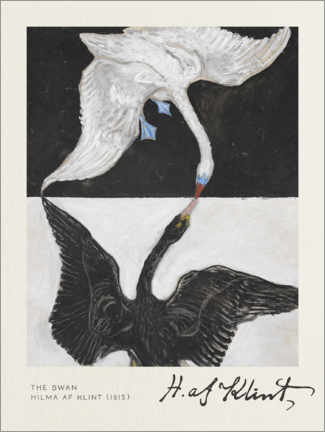Lienzo  The Swan - Hilma af Klint