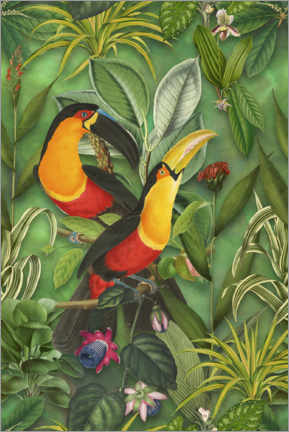 Póster  Tucans in the jungle - Andrea Haase