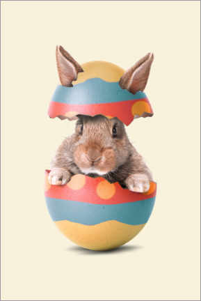 Cuadro de PVC  Easter Bunny - Jonas Loose
