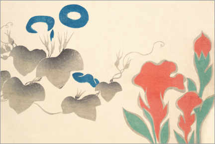 Lienzo  Design of Morning?glory and other Flowers - Ogata Korin