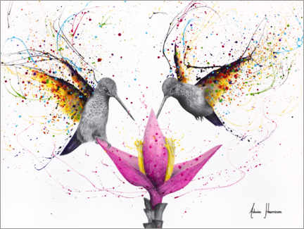 Vinilo para la pared  Friendship Hummingbirds - Ashvin Harrison