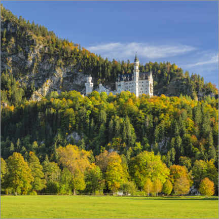 Póster  Neuschwanstein Castle in autumn - Markus Lange