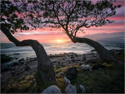 Cuadro de madera  Maui Sunset - Steve Berkley