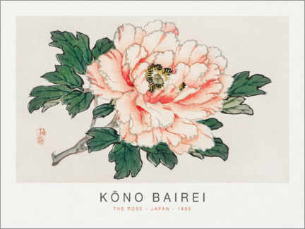 Póster  The Rose, Kono Bairei, 1895 - K?no Bairei