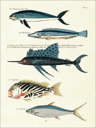 Póster  Fishes - Vintage Plate 87 - Louis Renard