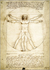 Vinilo para la pared  El hombre de Vitruvio - Leonardo da Vinci