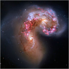 Vinilo para la pared  Antennae colliding galaxies - Robert Gendler
