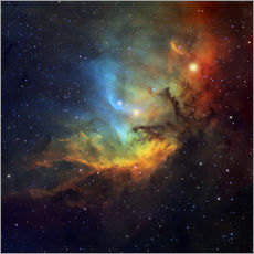 Cuadro de plexi-alu  Tulip nebula - Robert Gendler