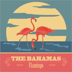 Vinilo para la pared  The Bahamas - Flamingo