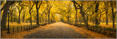 Póster  Central Park in New York City, USA - Jan Christopher Becke