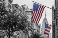 Cuadro de plexi-alu  Banderas en Nueva York - nitrogenic