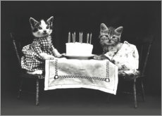 Póster Cumpleaños del gatito, vintage
