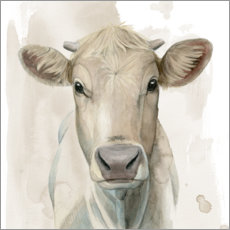 Póster Retrato de ganado I