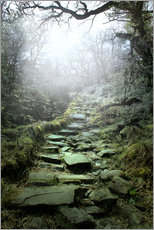 Cuadro de plexi-alu  mystical stairs - Nadine Conrad