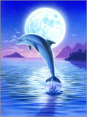 Cuadro de plexi-alu  Day of the dolphin - midnight - Robin Koni