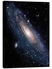 Lienzo  Galaxia de Andrómeda, M31