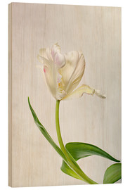 Cuadro de madera  Tulip - Nailia Schwarz