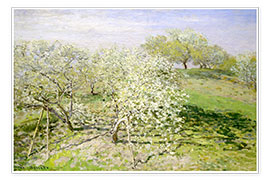 Póster  Primavera y manzanos en flor - Claude Monet