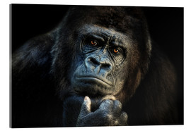 Cuadro de metacrilato  Gorila pensativo - Joachim G. Pinkawa