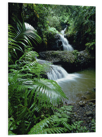 Cuadro de PVC  Cascada en hawai - Douglas Peebles