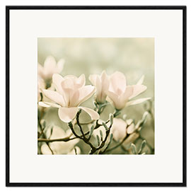 Impresión de arte enmarcada  magnolia blossom - Atteloi