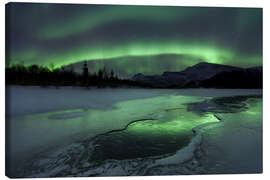 Lienzo  Aurora Boreal en Noruega - Arild Heitmann