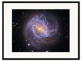 Impresión de arte enmarcada  The Southern Pinwheel Galaxy - Robert Gendler