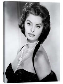 Lienzo  Sophia Loren