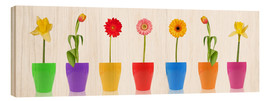 Cuadro de madera  Spring Flower Parade - Thomas Klee