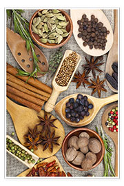 Póster Spices and Herbs II